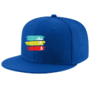Triathlon Swim Bike Run Triathlon Cap