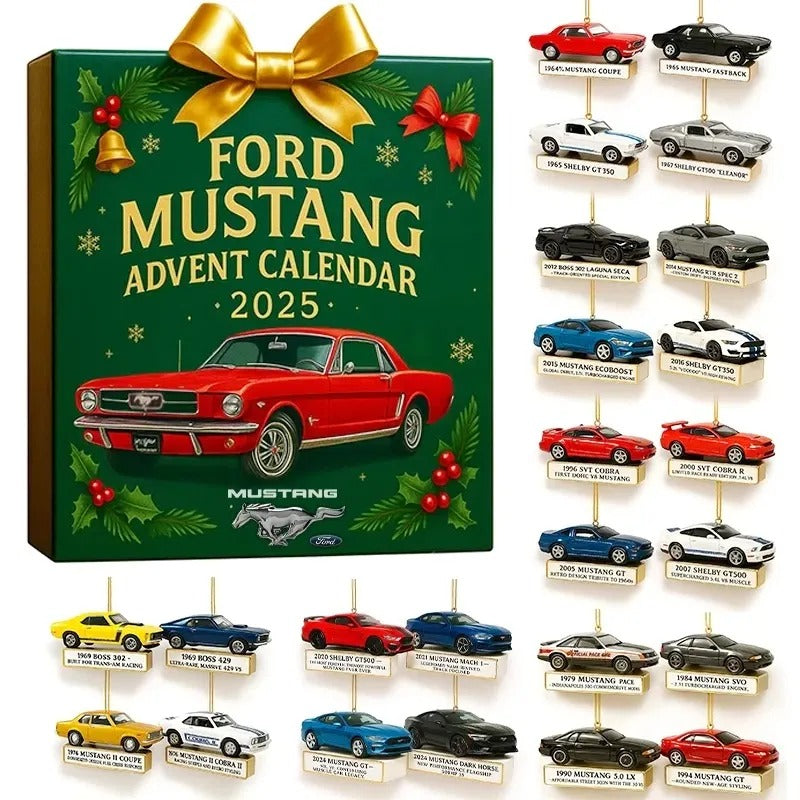 Buildercar - FM Carolina Panthers Advent Calendar 2025